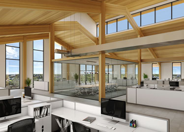 Bridgeland Mass Timber Office Interior